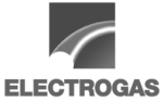 ELECTROGAS FAYMEX (1)