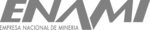 ENAMI FAYMEX (1)