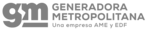 GENERADORA METROPOLITANA FAYMEX (1)